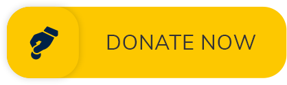 donate now button